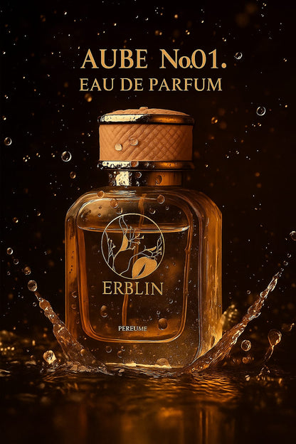 Aube No.01